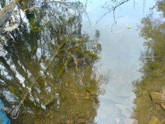 Gyalogtúrák :: Gyilkos-tó :: DSC07390.jpg :: 