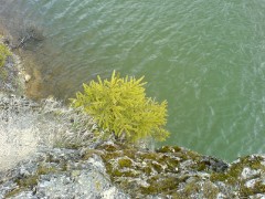 Gyalogtúrák :: Gyilkos-tó :: DSC07403.jpg :: 