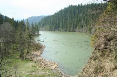 Gyalogtúrák :: Gyilkos-tó :: IMG_4538.jpg :: 