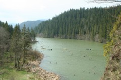 Gyalogtúrák :: Gyilkos-tó :: IMG_4540.jpg :: 