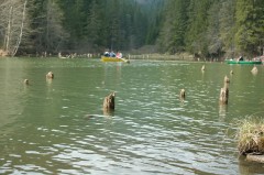 Gyalogtúrák :: Gyilkos-tó :: IMG_4545.jpg :: 