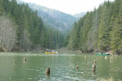 Gyalogtúrák :: Gyilkos-tó :: IMG_4546.jpg :: 