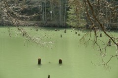 Gyalogtúrák :: Gyilkos-tó