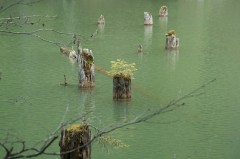 Gyalogtúrák :: Gyilkos-tó :: IMG_4569.jpg :: 