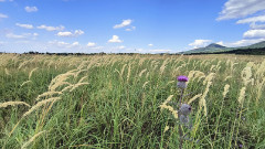 Teljesítménytúrák :: Pokoljáró Tar Lőrinc teljesítménytúra :: IMG_20240810_160339692_HDR_AE.jpg :: 