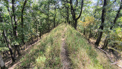 Teljesítménytúrák :: Pokoljáró Tar Lőrinc teljesítménytúra :: IMG_20240810_141110420_HDR_AE.jpg :: 