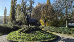 Teljesítménytúrák :: Bodri Kör teljesítménytúra :: IMG_20241102_090919470_HDR.jpg :: 