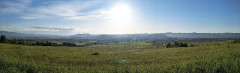 Teljesítménytúrák :: Vitézlő teljesítménytúra :: IMG_20250510_062437867.jpg :: 