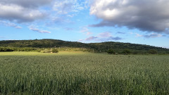 Teljesítménytúrák :: Mátrai Csillagok éjszakai teljesítménytúra :: CameraIMG_20250524_191029401.jpg :: 