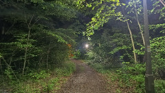 Teljesítménytúrák :: Mátrai Csillagok éjszakai teljesítménytúra :: CameraIMG_20250524_230322913.jpg :: 