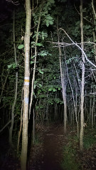 Teljesítménytúrák :: Mátrai Csillagok éjszakai teljesítménytúra :: CameraIMG_20250524_231451953.jpg :: 