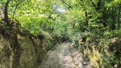 Teljesítménytúrák :: Kaptárkövek teljesítménytúra :: IMG_20250621_080644297_HDR.jpg :: 