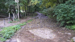 Teljesítménytúrák :: Sebes Pisztráng teljesítménytúra :: 20250920_064400.jpg :: 