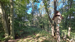Teljesítménytúrák :: Sebes Pisztráng teljesítménytúra :: 20250920_093613.jpg :: 