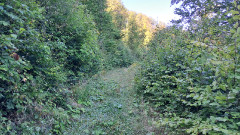 Teljesítménytúrák :: Sebes Pisztráng teljesítménytúra :: 20250920_105726.jpg :: 