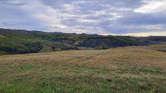 Teljesítménytúrák :: Kovács Beáta emléktúra :: 20251025_090130.jpg ::