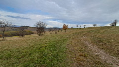 Teljesítménytúrák :: Kovács Beáta emléktúra :: 20251025_090138.jpg ::