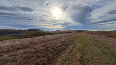 Teljesítménytúrák :: Kovács Beáta emléktúra :: 20251025_094028.jpg ::