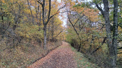 Teljesítménytúrák :: Kovács Beáta emléktúra :: 20251025_123927.jpg ::