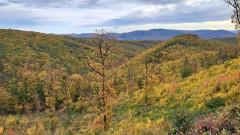 Teljesítménytúrák :: Kovács Beáta emléktúra :: 20251025_130639.jpg ::