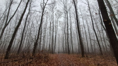 Teljesítménytúrák :: Iszinik teljesítménytúra :: 20251115_081356.jpg :: 