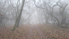 Teljesítménytúrák :: Iszinik teljesítménytúra :: 20251115_132814.jpg :: 