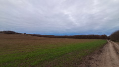 Teljesítménytúrák :: Péceli dombok között :: 20251122_072330.jpg :: 