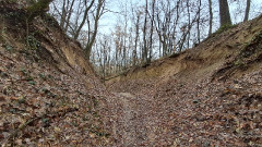 Teljesítménytúrák :: Péceli dombok között :: 20251122_102119.jpg :: 