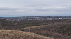 Teljesítménytúrák :: Péceli dombok között :: 20251122_133116.jpg :: 