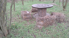 Teljesítménytúrák :: Péceli dombok között :: 20251122_134130.jpg :: 