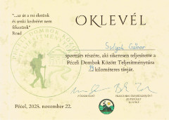 Teljesítménytúrák :: Péceli dombok között :: oklevél.jpg :: 