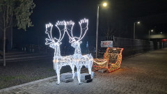 Teljesítménytúrák :: Tortúra 65 :: 20251220_060137.jpg :: 