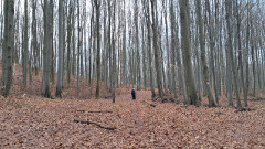 Teljesítménytúrák :: Tortúra 65 :: 20251220_084627.jpg :: 