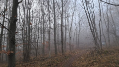 Teljesítménytúrák :: Tortúra 65 :: 20251220_125127.jpg :: 