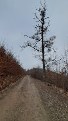 Teljesítménytúrák :: Tortúra 65 :: 20251220_140355.jpg :: 