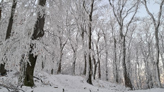 Teljesítménytúrák :: Dombay-tó szenvedés 42 :: 20251227_072652.jpg :: 