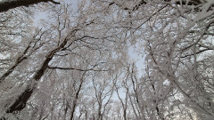 Teljesítménytúrák :: Dombay-tó szenvedés 42 :: 20251227_072707.jpg :: 