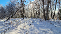 Teljesítménytúrák :: Dombay-tó szenvedés 42 :: 20251227_094647.jpg :: 