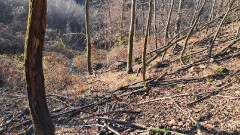 Teljesítménytúrák :: Dombay-tó szenvedés 42 :: 20251227_102902.jpg :: 