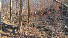 Teljesítménytúrák :: Dombay-tó szenvedés 42 :: 20251227_102906.jpg :: 