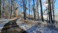 Teljesítménytúrák :: Dombay-tó szenvedés 42 :: 20251227_132620.jpg :: 