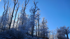 Teljesítménytúrák :: Dombay-tó szenvedés 42 :: 20251227_133037.jpg :: 