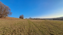 Teljesítménytúrák :: Dombay-tó szenvedés 42 :: 20251227_141856.jpg :: 