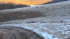 Teljesítménytúrák :: Dombay-tó szenvedés 42 :: 20251227_085755.mp4 :: 