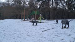 Teljesítménytúrák :: Börzsöny Kapuja 35 :: 20260103_073056.jpg :: 