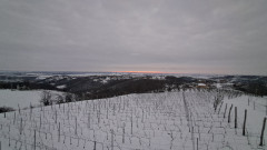 Teljesítménytúrák :: Bartina marathon :: 20260117_070045.jpg :: 