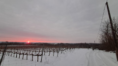 Teljesítménytúrák :: Bartina marathon :: 20260117_072141.jpg :: 