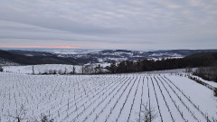 Teljesítménytúrák :: Bartina marathon :: 20260117_074930.jpg :: 