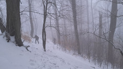 Teljesítménytúrák :: Pilisi csapás :: 20260124_072513.jpg :: 