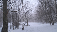 Teljesítménytúrák :: Pilisi csapás :: 20260124_072902.jpg :: 